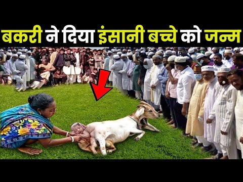 Molvi Ki Bakri Ne insan ka baccha paida Kiya per kaise | Goat gives Birth to Human Baby