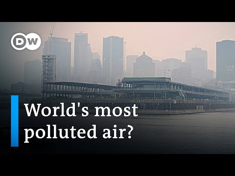 Forest fires lead to blanketing smog in Canada | DW News