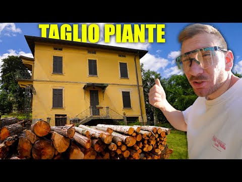 TAGLIO PIANTE ALLA NUOVA CASA! ep.2