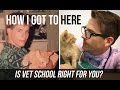 Veterinary School Preparation and Insights
