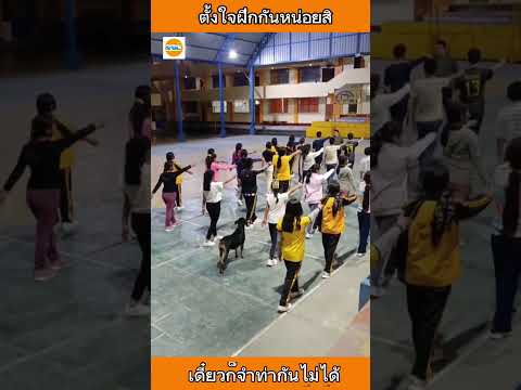 ตั้งใจฝึกสินุด เดี๋ยวก็จำท่าไม่ได้ #dog #pets #หมา