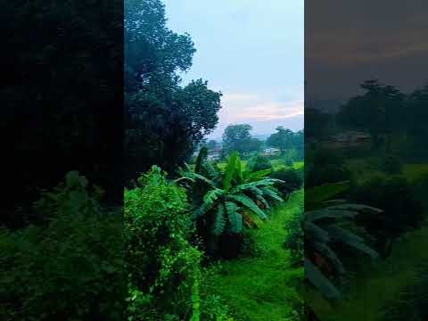 गांव के लोगो को गावर बोलने वाले🌾 #farming #farmingstatus #kisanstatus #jaidmeel #dotmandala #shorts