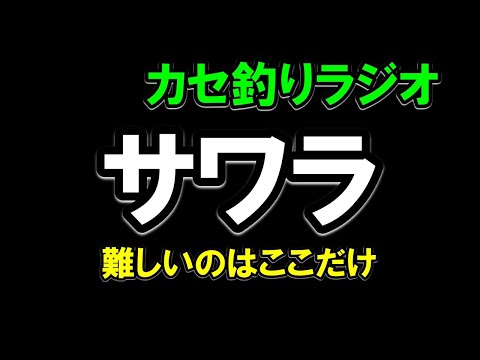 【カセラジ】サワラの取り込み、難しのは・・・