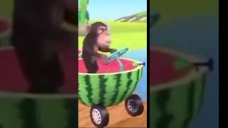 tren süren maymun🤣 #shorts #keşfet #viral #komik #komedi #edit #aykutelmas #keşfetteyiz