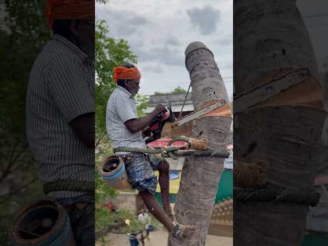 😱Very danger work❌⛔️📞8428343765#dangerous #danger #shortvideo #viralvideo #wood #coconut #tree