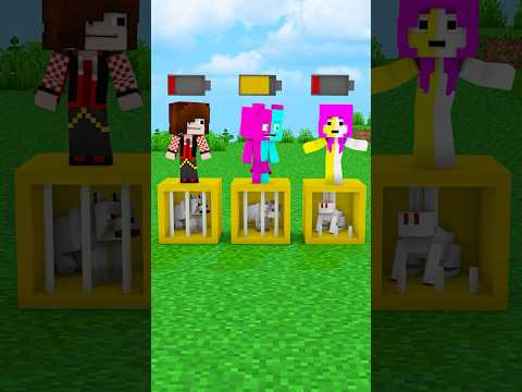 CANTE PARA SALVAR OS ANIMAIS 😰