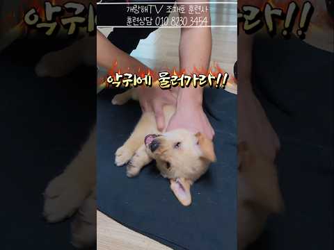 악귀야!물러가라!!!