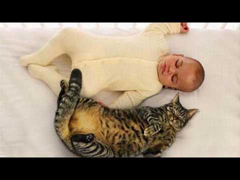 Cats and babies are best friends – Cute baby & cat compilation