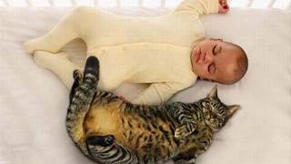 Cats and babies are best friends – Cute baby & cat compilation