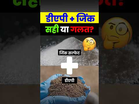 डीएपी के साथ जिंक डालना सही है या नहीं? जानिए पूरा सच! | Fertilizer Mixing | #fertilizer #farming