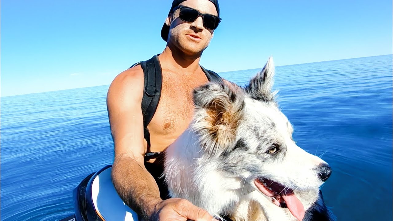 YBS Lifestyle Ep 12 - MEET MY DOG Amazing Whale Encounter And Coral Jacuzzi