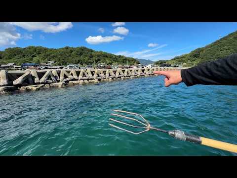 お魚天国テトラポットで魚突きしてみたらヤバかった