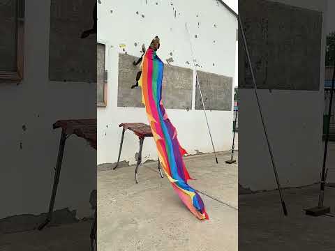 amezing wall catching ring dog style #trending #flip #shortsvideo #viral #youtube