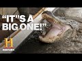Troy and Pickle's Alligator Adventure