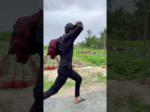 Út ơi | Về nhà | Go home #utoi #shorts #myyearonyoutube2024 #trending