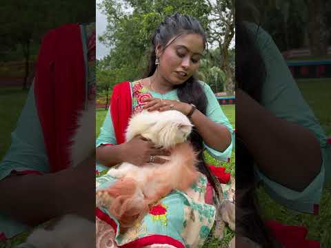 āĻāĻŋ āĻŽāĻž #funny #entertainment #comedyvideos #comedy #reels #shorts #haniftv