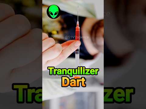 tranquilizer dart by S1V2