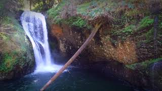 butte creek falls