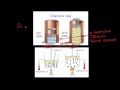 Gas Laws: Boyle's and Charles's