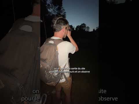 Mon métier, ma nature – Chiroptérologue #8