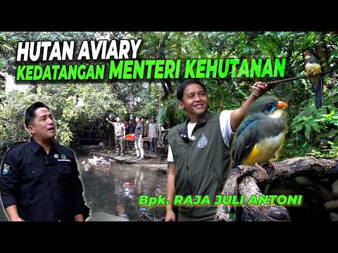 PAGI-PAGI KEDATANGAN BAPAK RAJA JULI.. MENTERI KEHUTANAN KE AVIARY DEHAKIMS😱