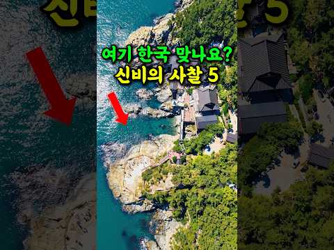 🔥 비행기 탈 필요 없는 소원성취 명당사찰 #여행추천 #방문할곳 #시니어여행 #국내여행 #사찰여행