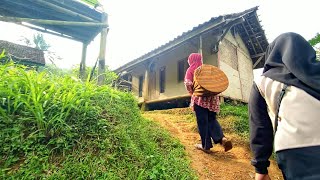 SUASANA SORE YANG TENANG, SUARA ALAM DI KAMPUNG NAMBAH BETAH, HAWA DINGIN PEDESAAN SUNDA JAWA BARAT