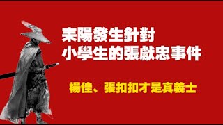 耒陽發生針對小學生的張獻忠事件。楊佳、張扣扣才是真義士。2025.08.04NO2861