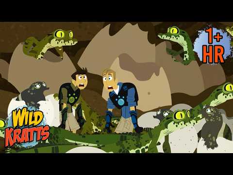 Crocodile Egg Hatch | Creature Facts | Wild Kratts