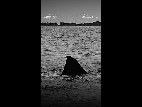 Discover the history of Jaws from the filmmakers it inspired