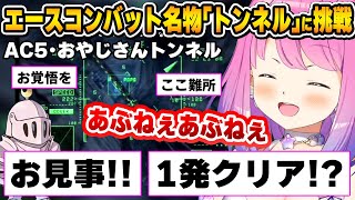 AC名物の難所に初挑戦するも、初心者とは思えない操縦技術でルーナイト達を唸らせるルーナ姫【エースコンバット5/姫森ルーナ/ホロライブ切り抜き