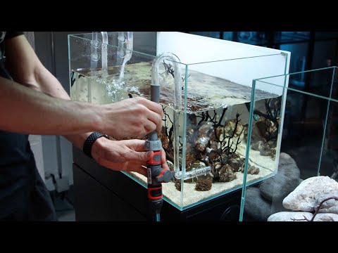 The Fastest Way to Change Water in Aquarium!