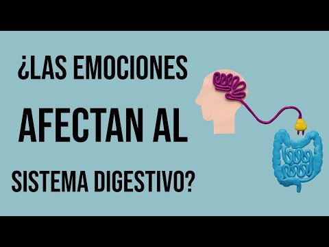 🔁 Vínculo entre Emociones y Trastornos Digestivos - Dr. Domingo Pérez León