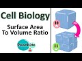 Cell Growth and Efficiency Concepts