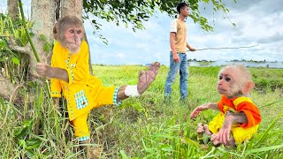 Baby monkey tells Dad , CUTIS go fishing when leg injured ! Dad's wrath