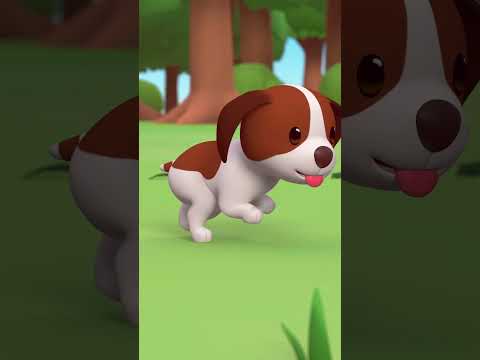 Puppy being Playful with Beetles! 🪲 | Leo the Wildlife Ranger | #shorts #animals #fun