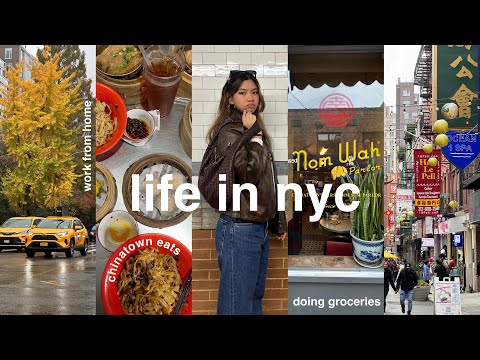 LIFE IN NYC | groceries, chinatown eats, weird nyc encounter...