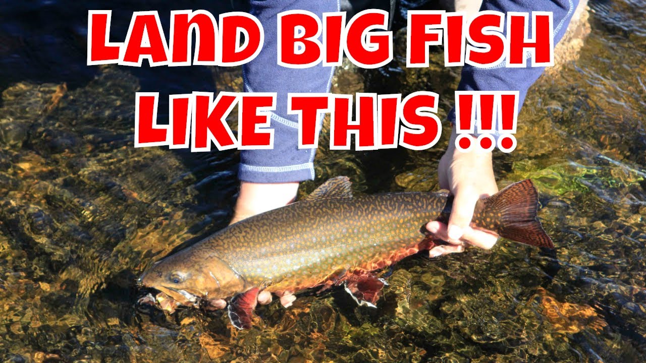 Fighting Big Fish - How To - The New Fly Fisher
