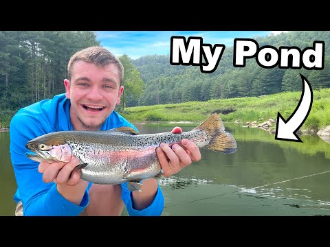 Stocking Rainbow Trout in My Pond... But Can they Survive?