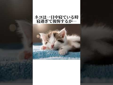 ちょwwあかんw猫の今日の秘密が可愛すぎるww猫の知って損しない秘密5選?