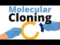 Molecular Cloning Concepts