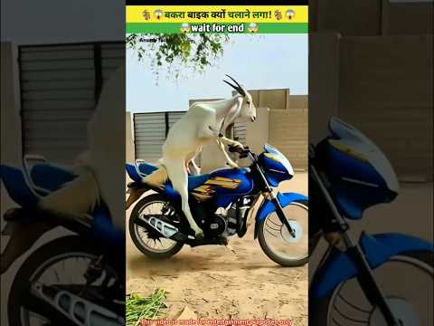 बकरा बाइक क्यों चलाने लगा 😱wood working with art handcraftidea/home maderealtalent skill-art