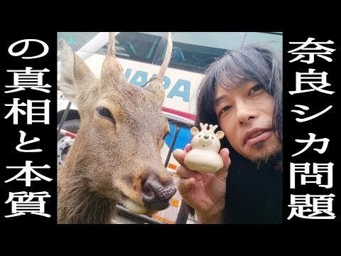 奈良シカ問題の真相と本質。パトロール配信２回してわかったこと。焼き肉やりながらまったり生配信。作品紹介も()