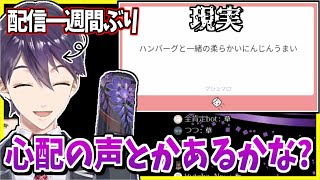 【本日のクソマロ】久しぶりの配信なのでマロに心配コメントを期待する剣持【剣持刀也/にじさんじ切り抜き】