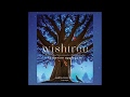 Understanding the Wish Tree's Impact