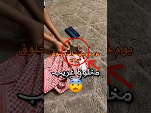 مخلوق غريب دخل بيتهم وهيك كانت ردة فعلهم !! 😨 (عجيب) #youtubeshorts