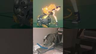 橘福福小貓貓🐱🐱🐱