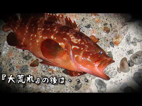 海が荒れた後はキジハタが入れ食いになるって本当??