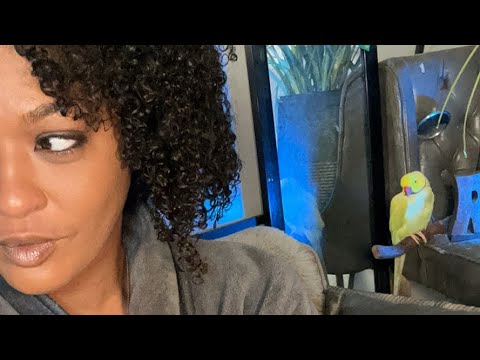 #TurnersSanctuary is live!