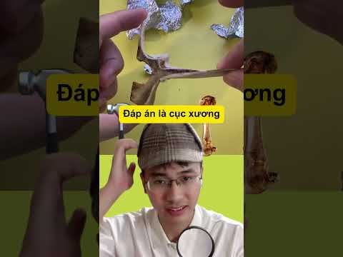 thử tài đoán đúng tập 21 #shorts #shortsvideo #short #shortvideo